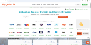 Web hosting  How and Most Wanted Companies